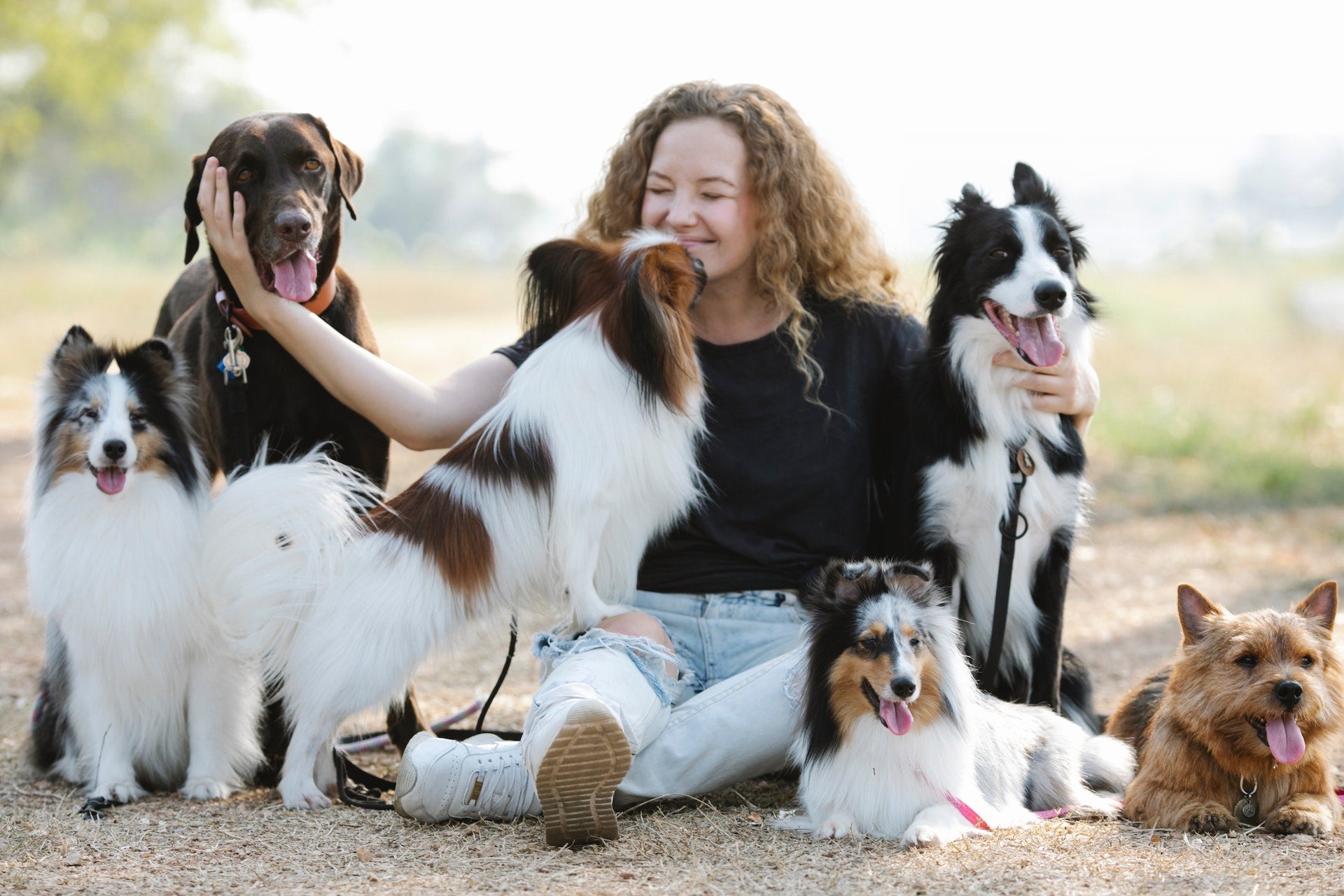 why-do-my-dogs-lick-each-others-ears-paws-elite