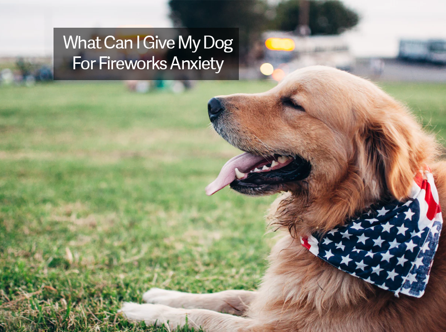 what can i give my dog for anxiety during fireworks