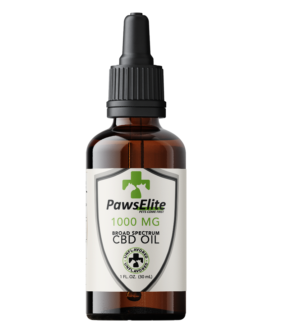 Natural Relief & Wellness for Dogs & Cats