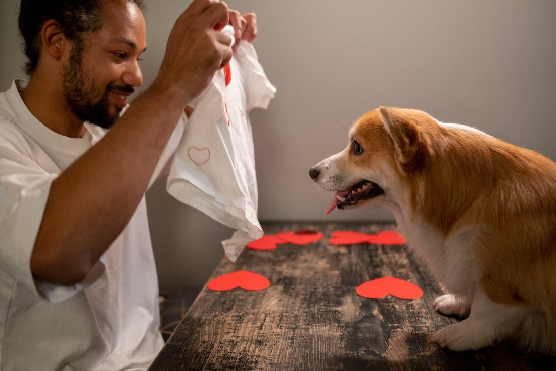 Protect Your Furry Love: Valentine's Day Safety Tips for Pet Owners