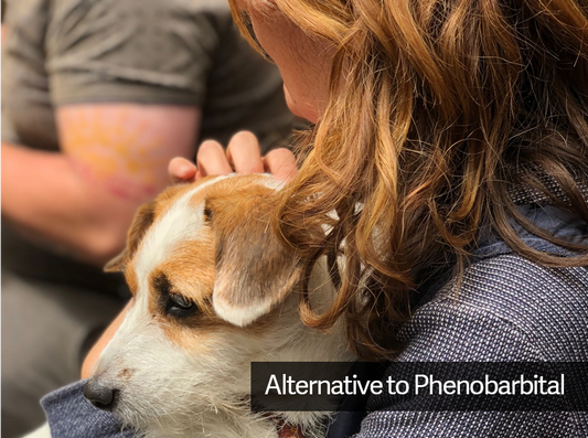 Natural and Safe Alternative to Phenobarbital for Dogs