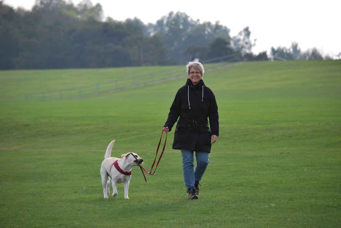 How Routine Changes Can Affect Your Dog's Anxiety and How CBD Can Help