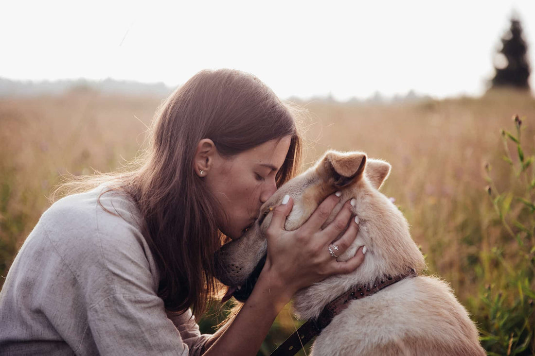 woman kissing dog outdoor euthanizing dog at home