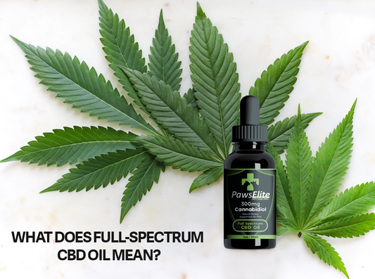 What does Full-Spectrum CBD Oil Mean