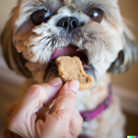 Peanut Butter Oatmeal Dog Treat