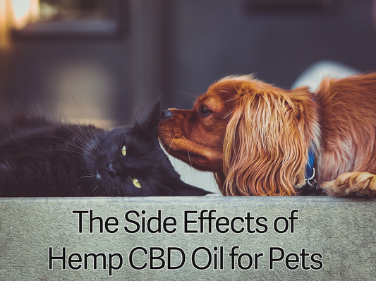 Side Effects CBD Hemp Oil for Dogs and Cats