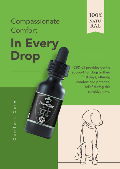 CBD Oil For Dogs & Cats