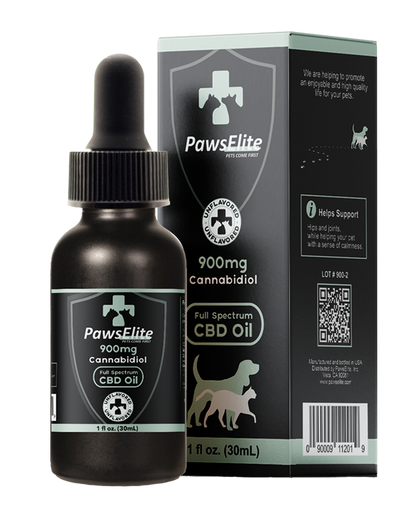 CBD Oil For Dogs & Cats
